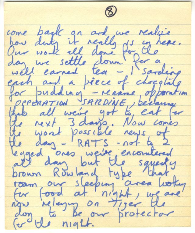 Page 8 of the same handwritten letter, written in all blue ink.